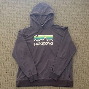 Patagonia Gray Hoodie with Green Accents
